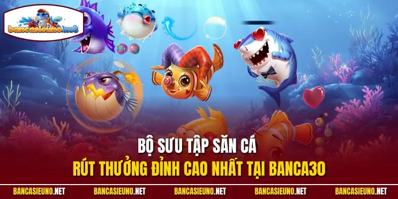 Bộ sưu tập săn cá rút thưởng đỉnh cao nhất tại Banca30