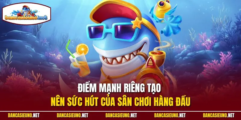Điểm mạnh riêng tạo nên sức hút của sân chơi hàng đầu