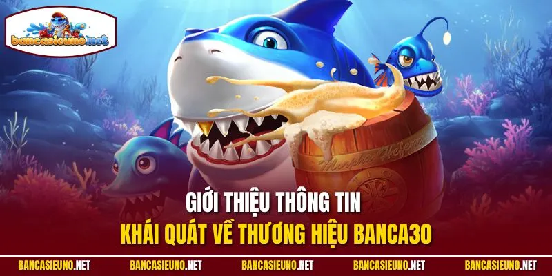 Giới thiệu thông tin khái quát về thương hiệu Banca30