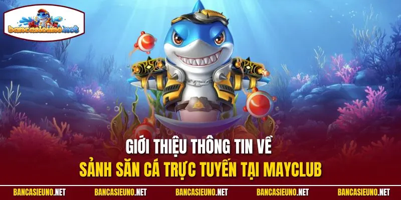 Giới thiệu thông tin về sảnh săn cá trực tuyến tại Mayclub