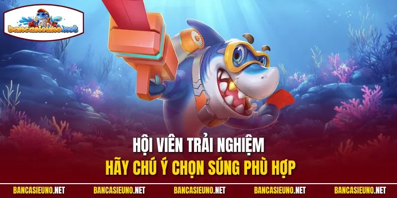 Hội viên trải nghiệm hãy chú ý chọn súng phù hợp