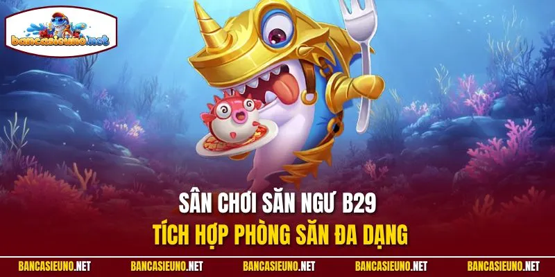 Sân chơi săn ngư B29 tích hợp phòng săn đa dạng
