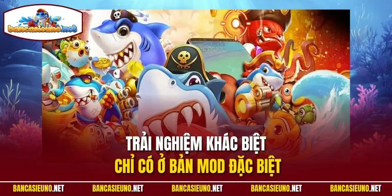 Trải nghiệm khác biệt chỉ có ở bản mod đặc biệt